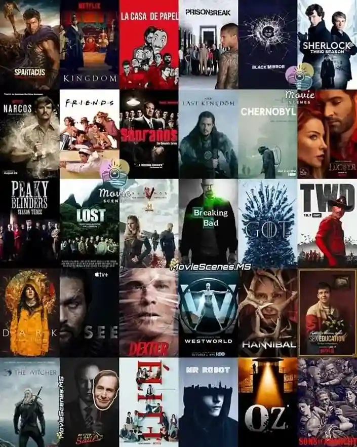 movies& tv series